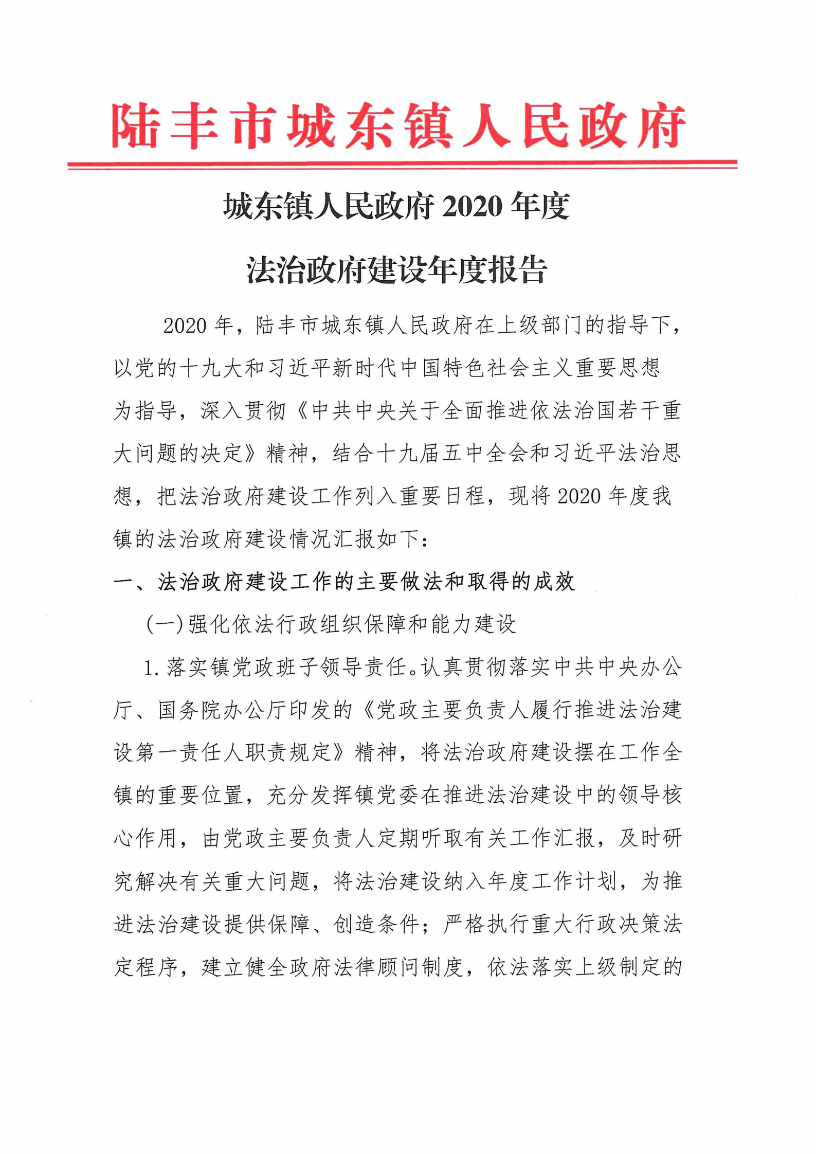 城東鎮(zhèn)人民政府2020年度法治政府建設(shè)年度報告_00.png